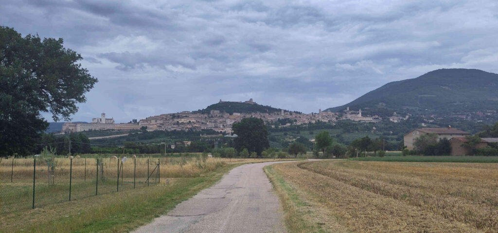 Bild: Assisi von unten